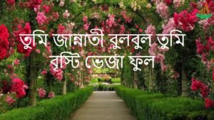  Tumi Josti Mukul Misty Bokul Lyrics 