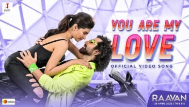 You Are My Love Lyrics