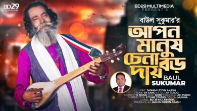 Apon Manush Chena Boro Daay Lyrics