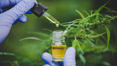 CBD Oil in Australia Guide Official Image