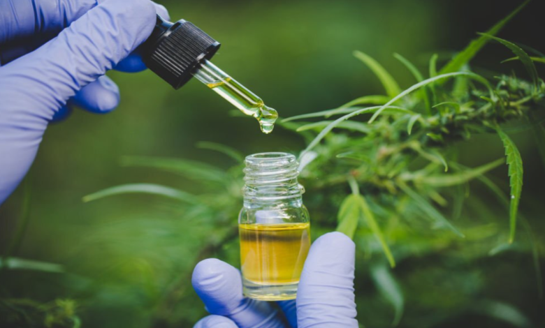 CBD Oil in Australia Guide Official Image