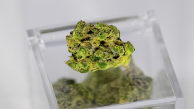 Consume Weed to Bust Stress Official Image