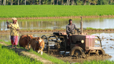 Crop Residue Management for Sustainable Agriculture