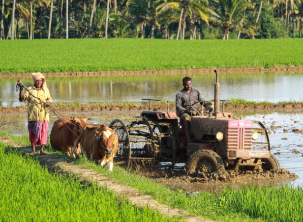 Crop Residue Management for Sustainable Agriculture