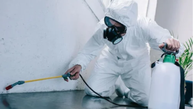 Pest Extermination Services Can Save