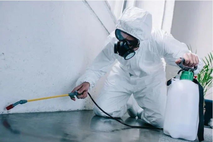 Pest Extermination Services Can Save