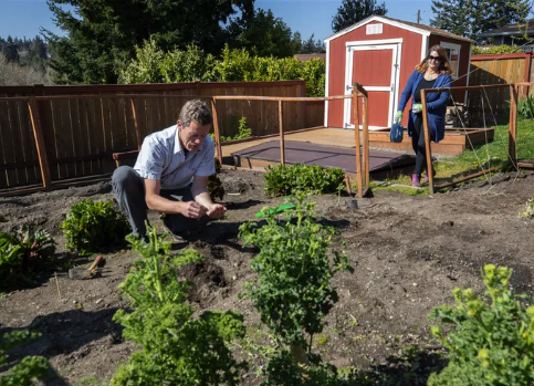 Right Seeds for your Garden