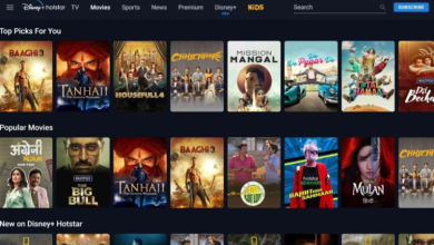 About Filmyzilla